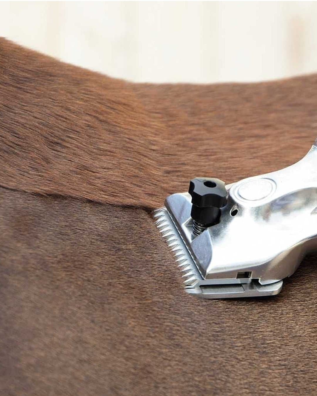 Cycle rebooking: horses due this cycle