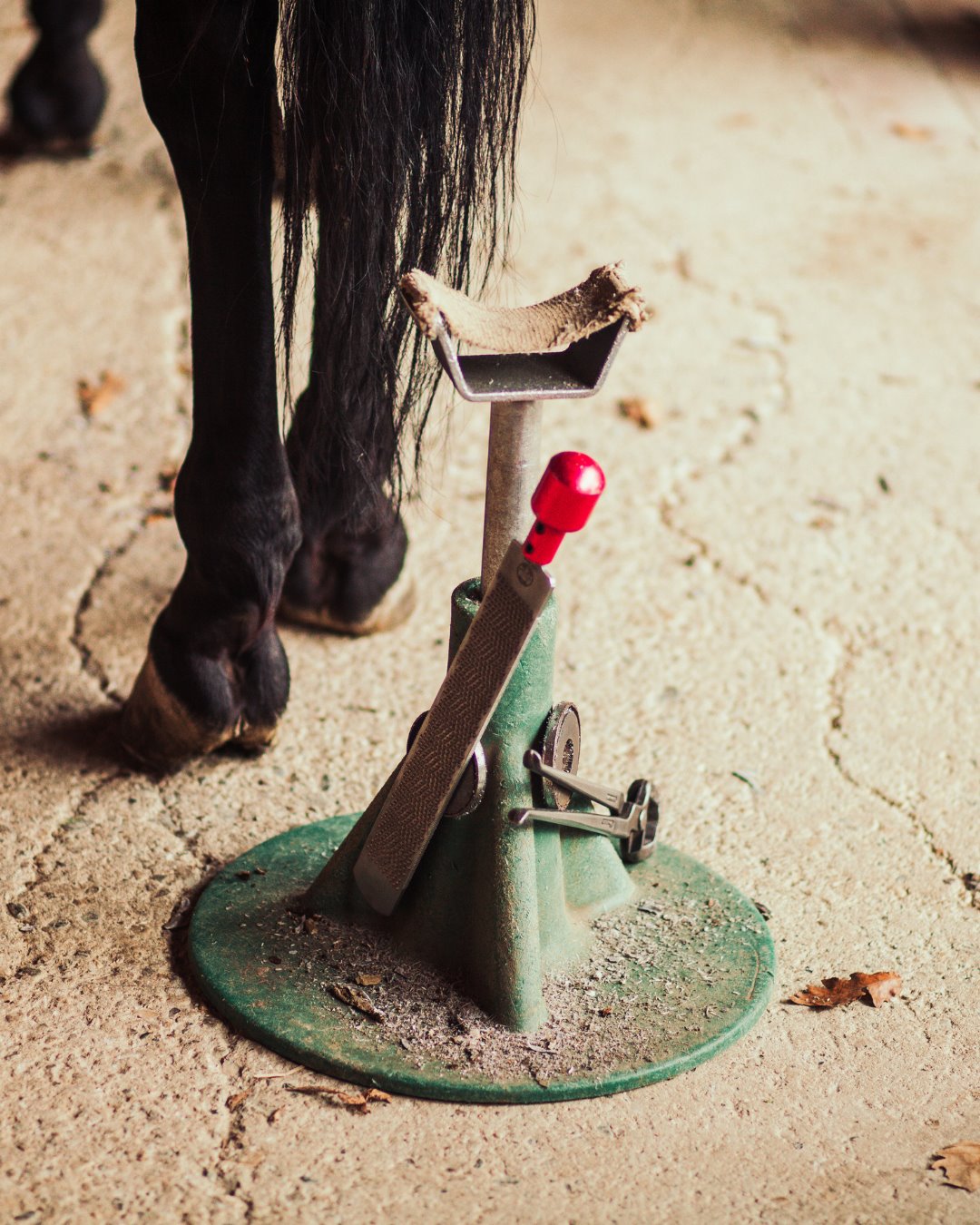 Farrier: a mobile equestrian pro at work
