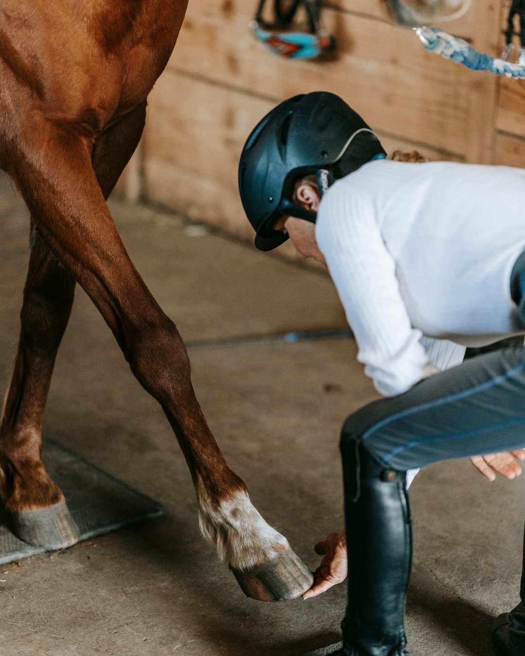 Physio: a mobile equestrian pro at work